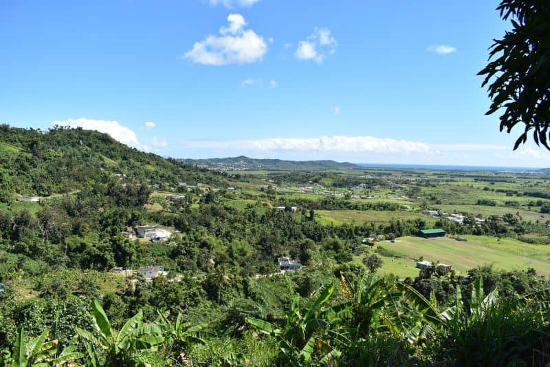 Puerto Rico ist eine gründe und bergige Insel