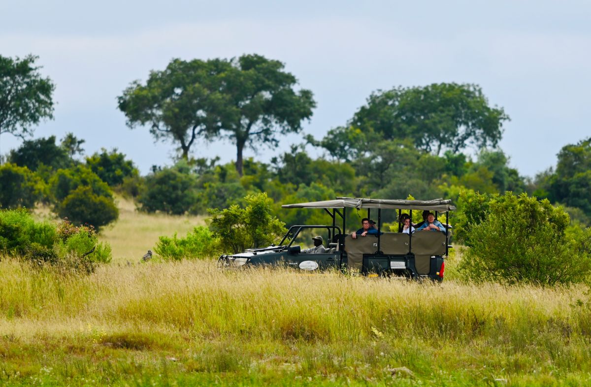 Landausflüge in Port Elizabeth auf eigene Faust