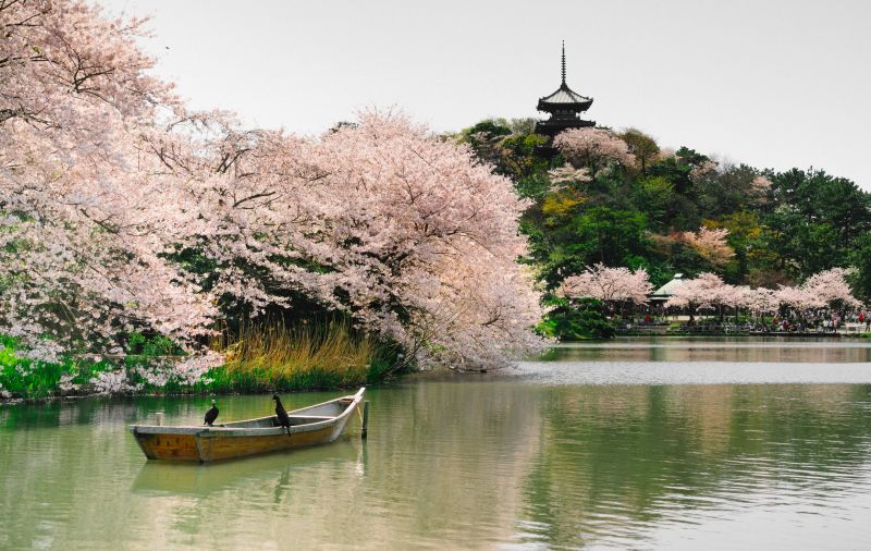 Sankei-en in Yokohama