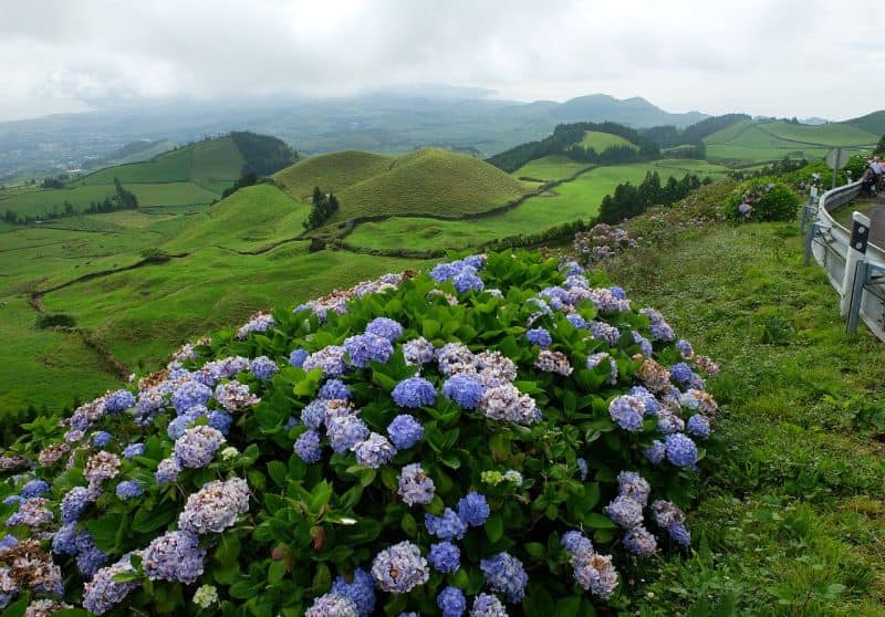 São Miguel ist eine sehr grüne Insel