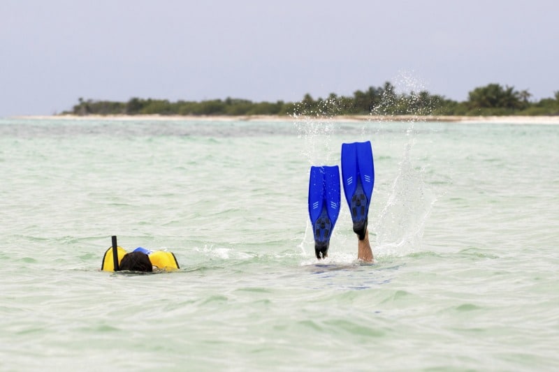Schnorcheln und Tauchen sind beliebte Landausflüge auf Cozumel