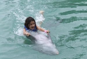 Schwimmen mit Delfinen