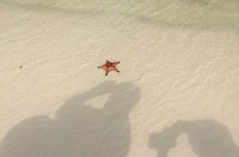 In Phu Quoc auf eigene Faust zum Starfish Beach 