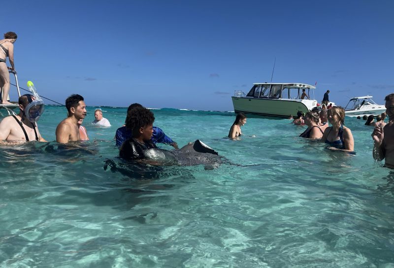 Stingray City auf Grand Cayman