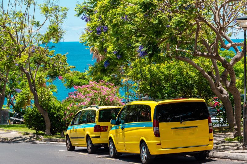 Madeira auf eigene Faust mit einem Taxi erkunden