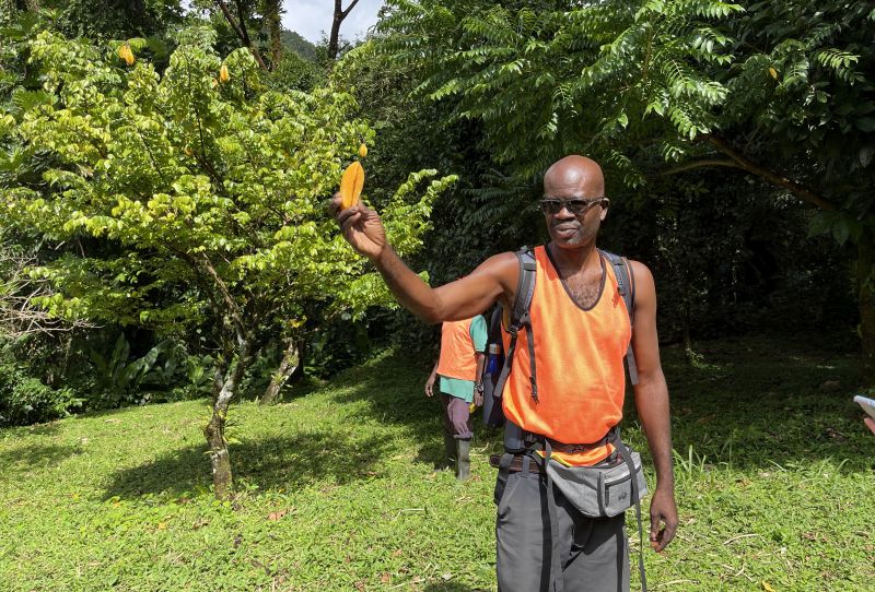 Tourguide Fraser