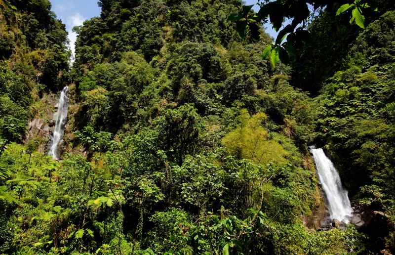 Landausflüge auf Dominica führen oft zu den Trafalgar Falls