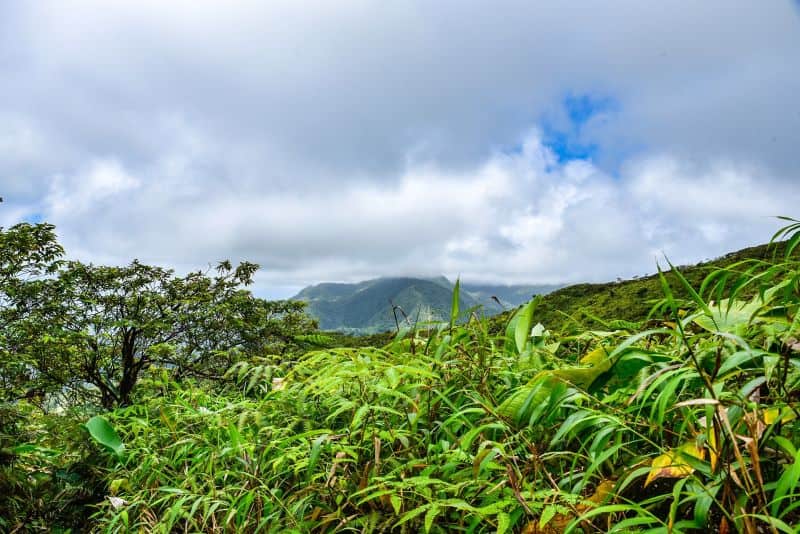 Landausflüge in St. Vincent zum Vulkan La Soufriere