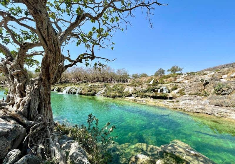 Wadi Darbat bei Salalah