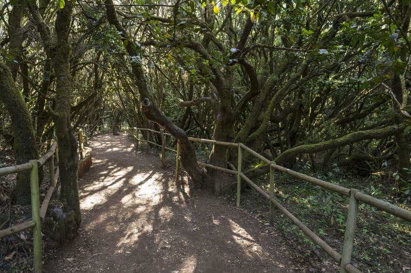 Wanderungen sind beliebte Landausflüge auf La Gomera