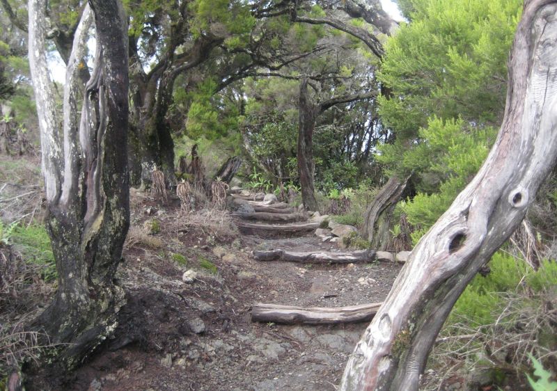Wanderparadies La Gomera