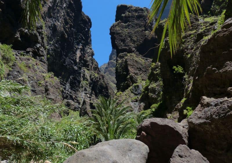 Wanderung in der Masca-Schlucht