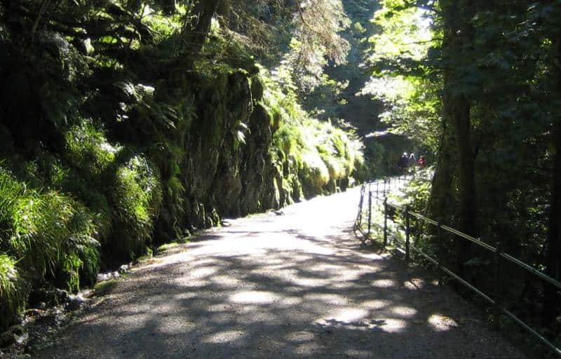 Der gut ausgebaute Wanderweg führt auf den Fløyen