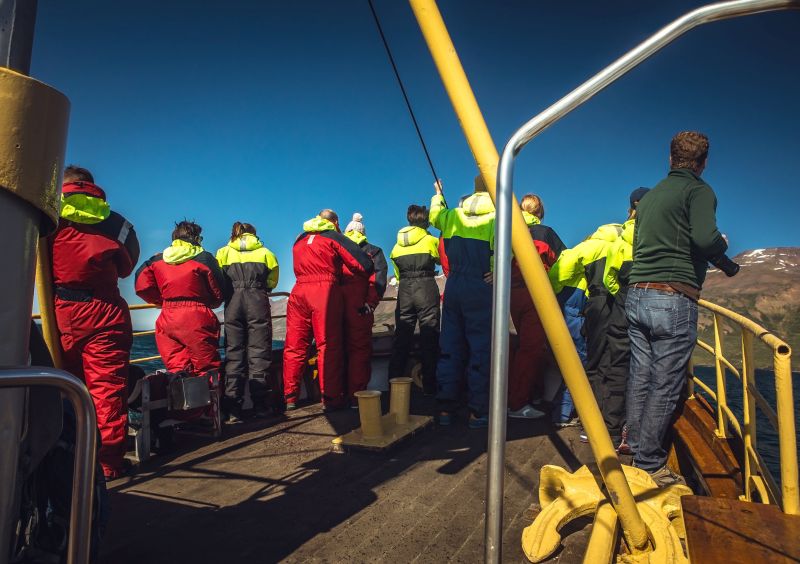 Whale Watching in Reykjavík