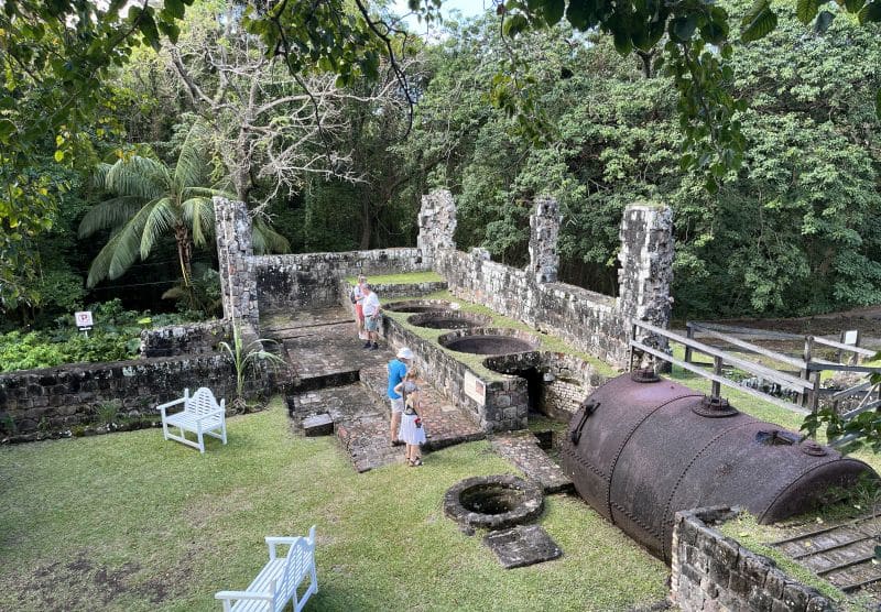 Landausflüge auf St. Kitts nach Wingfield Manor