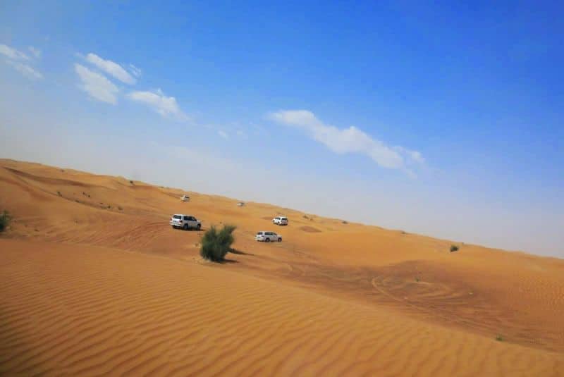 Wüstensafaris sind beliebte Landausflüge in Dubai